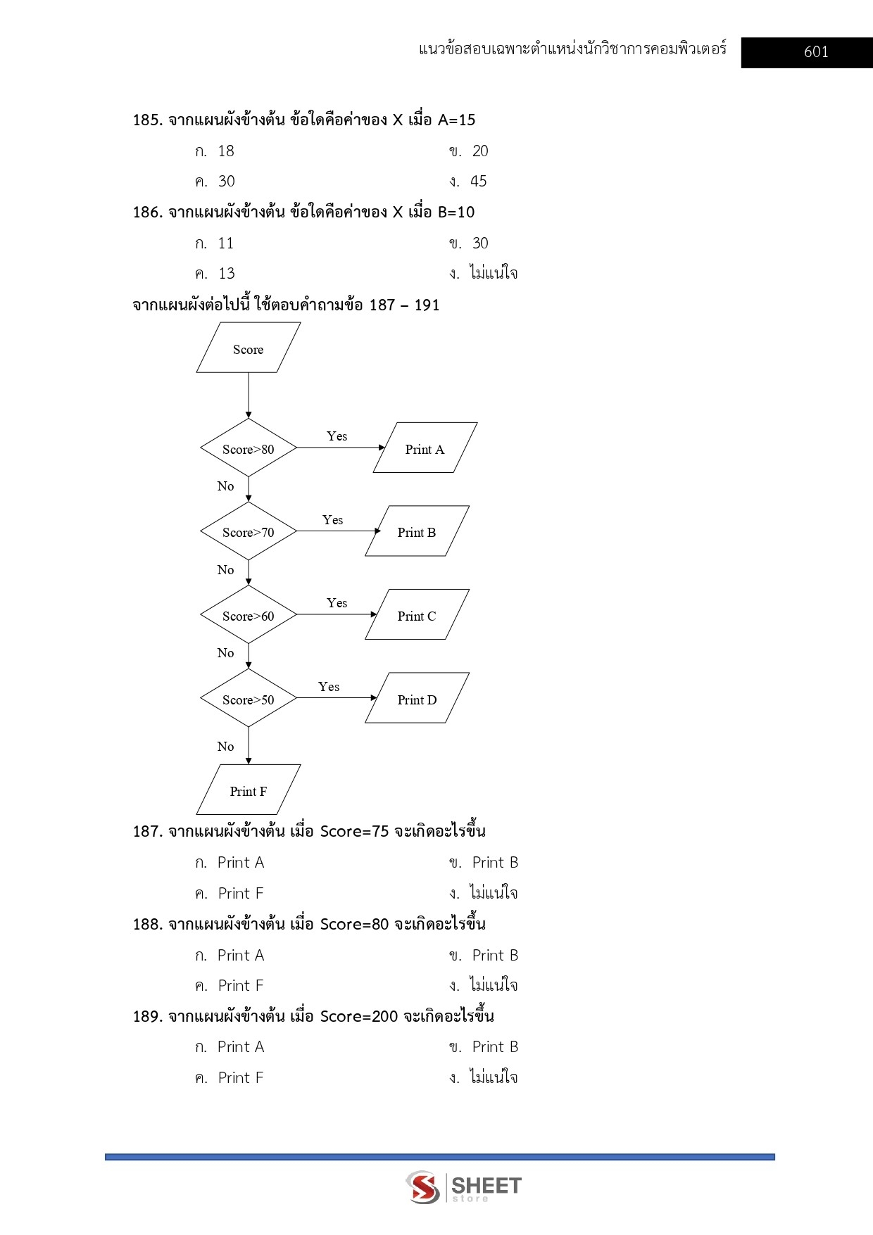 นักวิชาการคอมพิวเตอร์ (13)